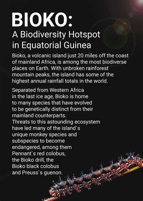 Wall Art Print Bioko Biodiversity Guinea Quote Europosters