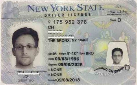 Can I Buy A New York State Fishing License Online