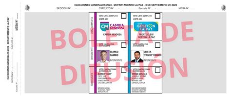 Boletas Municipales Elecciones