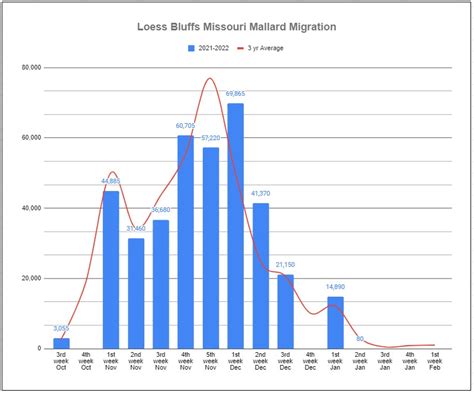 Duck Migration Reports and Maps – Duck Tracker