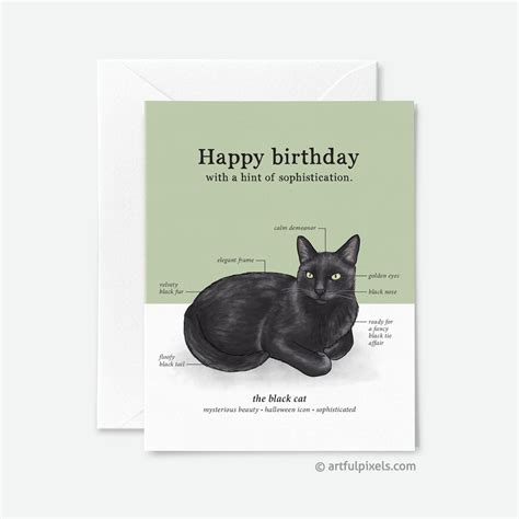 Black Cat Birthday Card Black Cat Chart Cat Diagram Fun Birthday Card For Her Card For Him