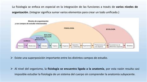 Clase Introduccion A La Fisiologia 1 Pptx