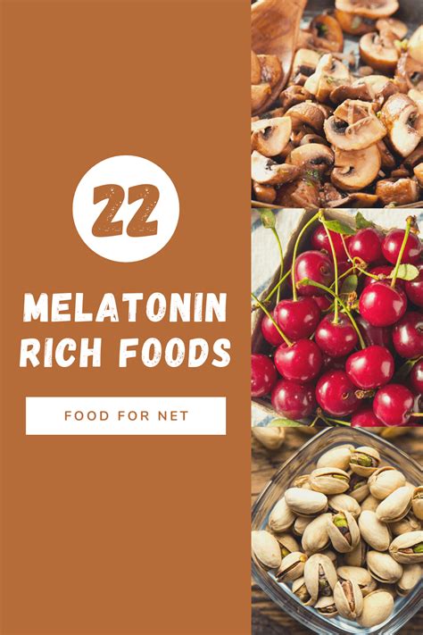 22 Melatonin Rich Foods That Can Help You To Nod Off Food For Net