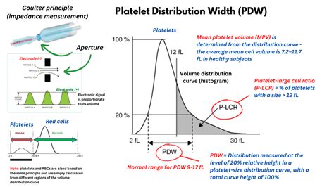 Platelet Distribution Width • The Blood Project