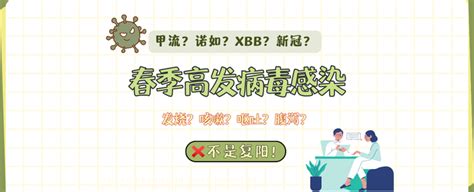 春季高发病毒图览，该如何预防应对！甲流、诺如、xbb、新冠？ 知乎