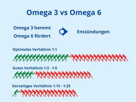 Omega 3 Fettsäuren Ausführlich Verständlich erklärt