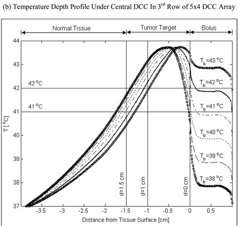 Steady State Temperature Distributions Produced By Dcc Cma Of