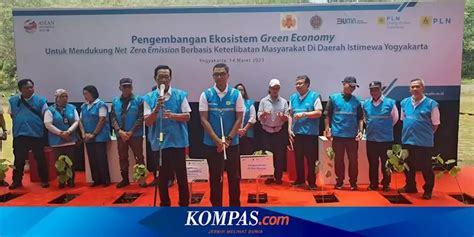 Kembangkan Energi Terbarukan Pln Gandeng Masyarakat Gunungkidul Tanam