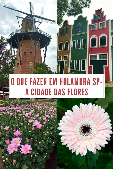 O Que Fazer Em Holambra Em Guia De Viagem Viagens Destinos