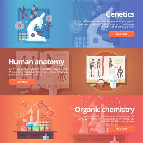 Genetik Menschliches Genom Menschliche Anatomie Anatomischer Atlas