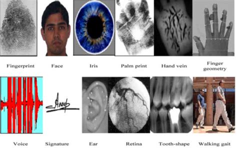 Different Types of Biometric Sensors and Its Working