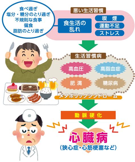 教えて！健康「食と健康」｜足りていますか 栄養素