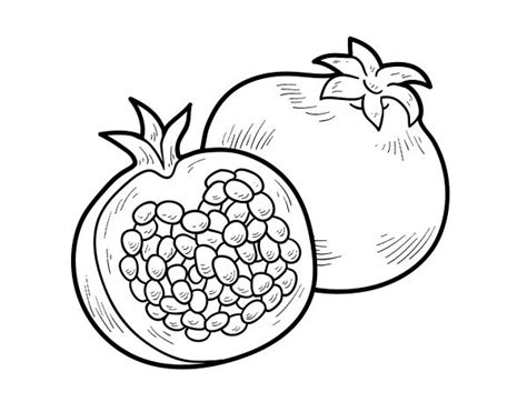 Pomegranate Black And White | Pomegranate drawing, Fruit coloring pages ...