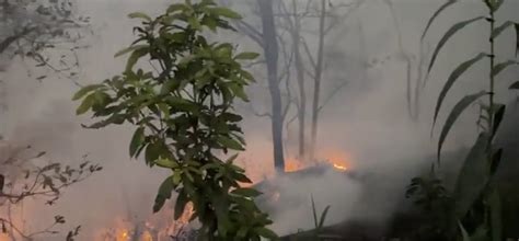 Nuestro Diario On Twitter Sucesos Se Registran Incendios