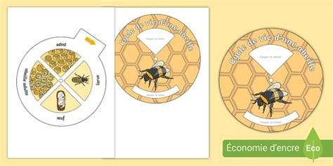 Roue Tourner Le Cycle De Vie D Une Abeille Twinkl