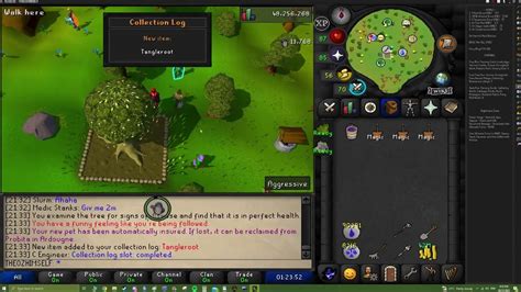 Osrs 84 Farming Tangleroot Pet Youtube