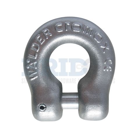 Cromox Clevis Shackles Cgs Stainless Steel