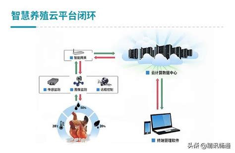 智慧养殖云平台