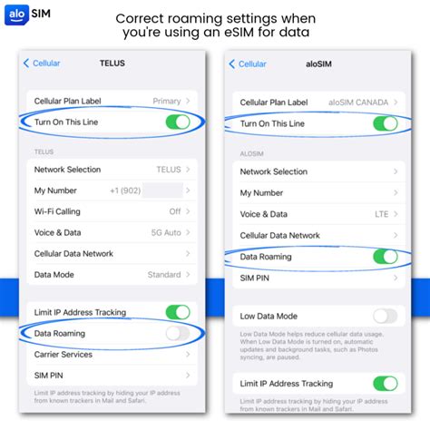 What Are The Correct Roaming Settings When Using Esim Alosim