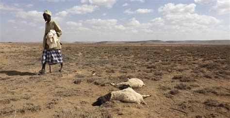 Horn Of Africa Faces Worst Drought In 40 Years Peoples Gazette Nigeria