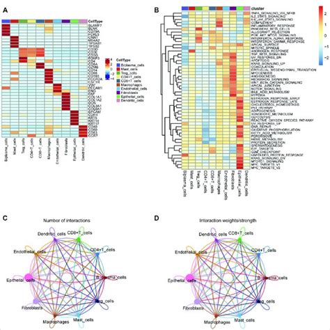 A The Heatmap Depicting Marker Genes Associated With Ten Cell