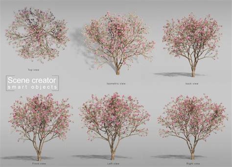 Premium Psd D Rendering Of Tree Top View Trees Top View Desert