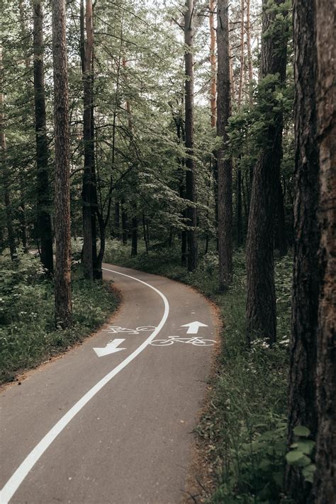 Gray Concrete Road Between Green Trees During Daytime Photo Free Road