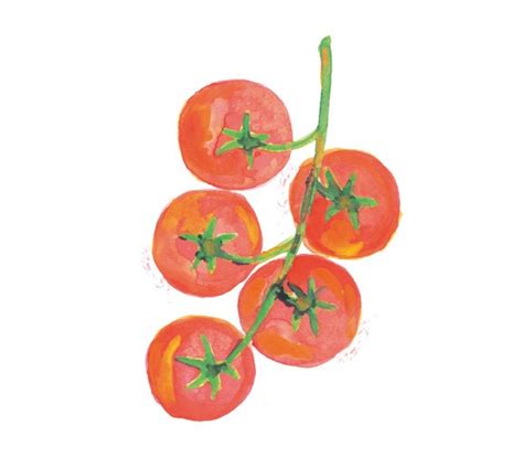 Tomatoes Watercolor Painting Red Home Decor Botanical - Etsy