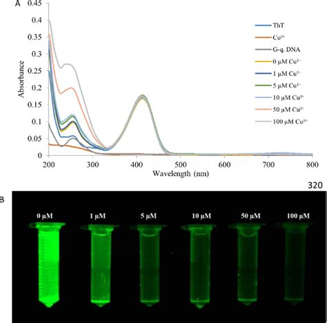 A UV Spectrum Analysis And B Monitoring Of ThT G Quadruplex DNA Cu