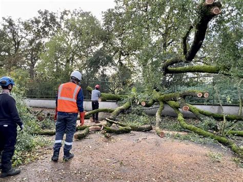 En Images Retrouvez Les Photos Marquantes Du Passage De La Temp Te