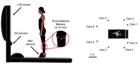 Sensors Free Full Text Validity Analysis Of WalkerViewTM