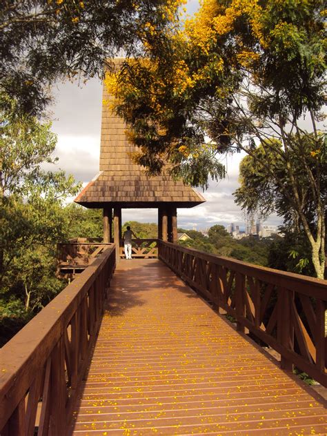 Bosque do Alemão Curitiba Paraná Brasil Fotos Sínteses