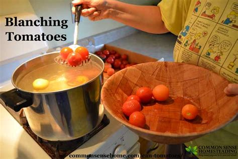 How To Can Tomatoes In A Canner Or Large Pot Easy Instructions