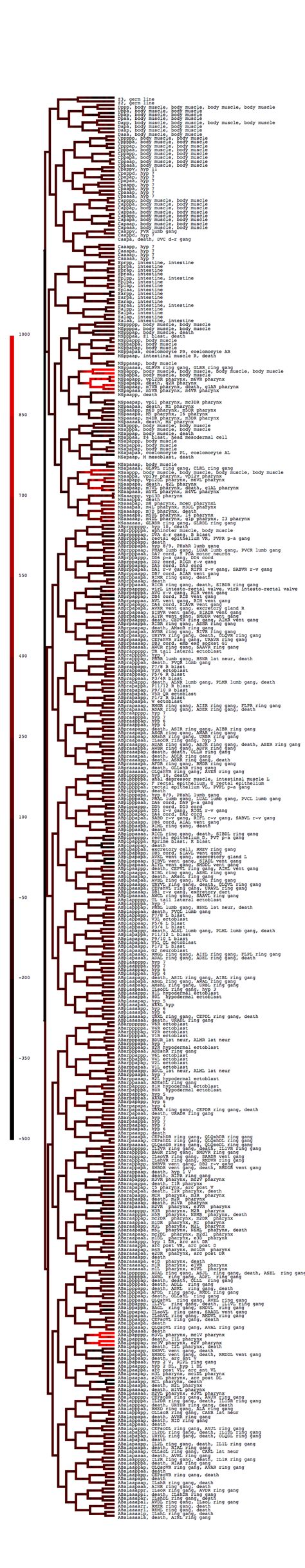 The Bicoid Class Homeodomain Factors Ceh Otx And Unc Pitx