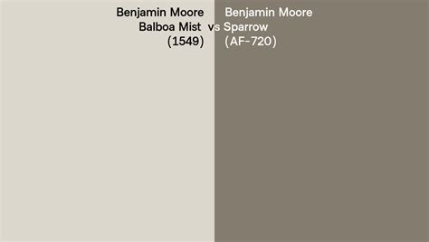 Benjamin Moore Balboa Mist Vs Sparrow Side By Side Comparison