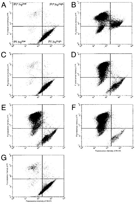 Flow Cytometric Analysis Of Hl 60 Cells Incubated With Or Without 50 G