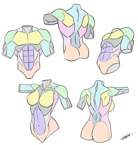 Simplified Anatomy Male And Female Torso By Robertmarzullo On Deviantart