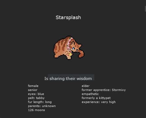 One Of My Clangen Cats Starsplash I Love Her She Recently Retired