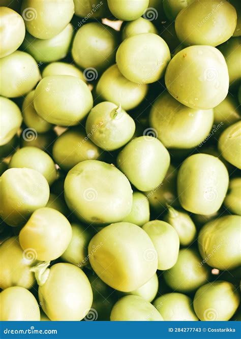 Harvest Organic Vegetables Green Peas Stock Image Image Of Plant