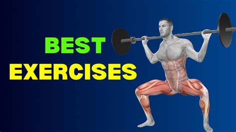 Unlocking The Science Of Muscle Growth Best Exercises For Maximum