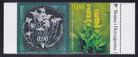 Bosnia And Herzegovina Bosniak Admin 441 MNH 2003 Flowers Pair