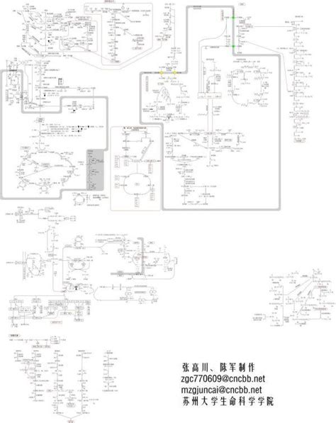 糖代谢、脂代谢、氨基酸代谢的关系联络图？包括分解和合成的过程。万分感谢！