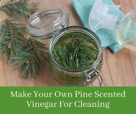 How To Make Pine Vinegar For Cleaning