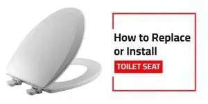 How To Replace Or Install A Toilet Seat