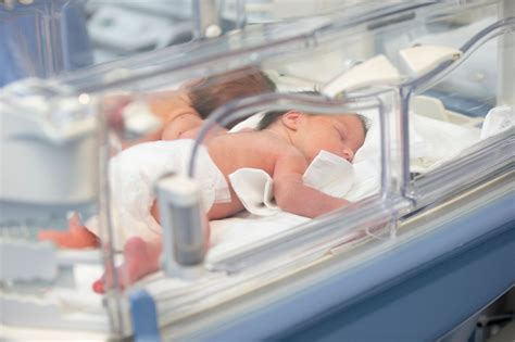 Lab Grown Babies Could Be A Reality As Soon As 2028 Scientist Claims