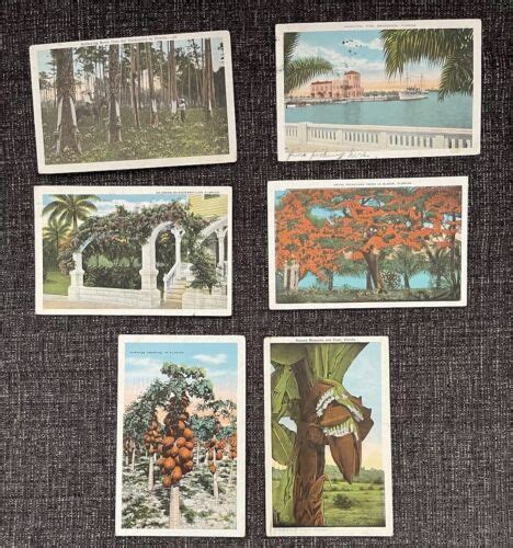 Vintage Linen Postcards Florida~beautiful Tropical Florida Views Lot Of