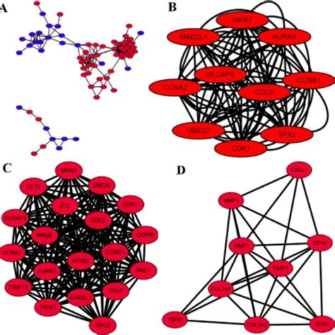 Ppi And Mcode Analyses Of Degs A Protein Protein Interaction Network