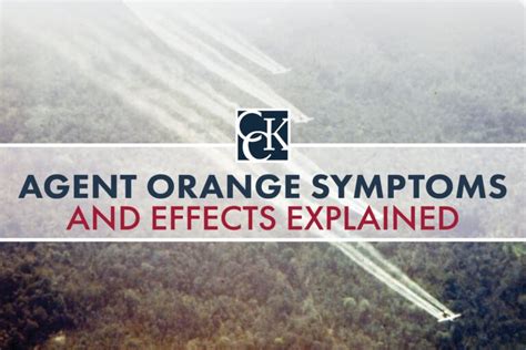 Agent Orange Symptoms And Effects Explained CCK Law