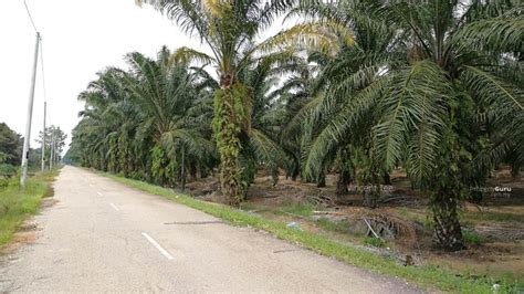 10acres Agriculture Land Freehold Main Road Ijok Kepong Kuala Selangor