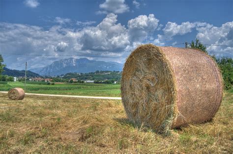 Bales Hay Agriculture Free Photo On Pixabay Pixabay